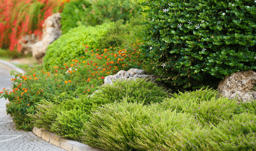 LANDSCAPING SERVICE